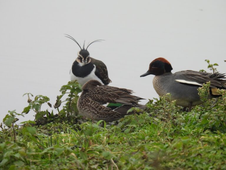 Indoor Programme – Winter 25