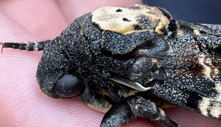 Kent Residential – Day 1